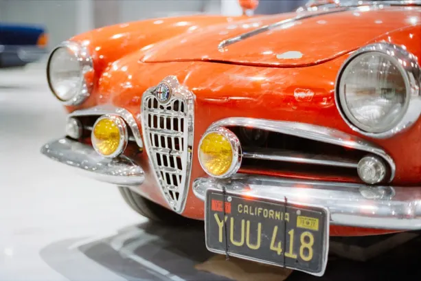 Ricky Kasyno Aplikacja Android/iOS